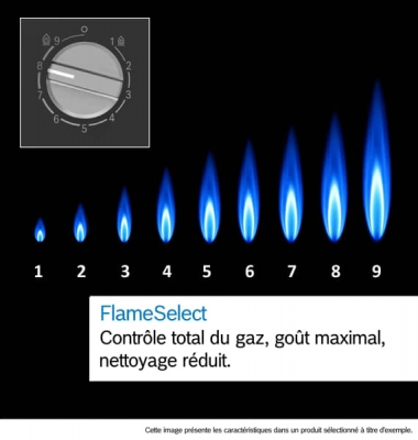 Plaque de cuisson 60 cm Bosch S&eacute;rie 6 Gaz Verre - PPP6A6I40