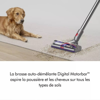 Aspirateur balai DYSON V15 Detect™ Absolute - V15S DA
